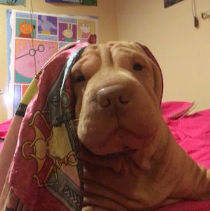 Meet your Posher, Reyna